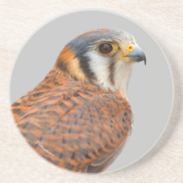 アメリ素晴らしンケストレルスパルロワーク《鳥》ハヤブサ コースター