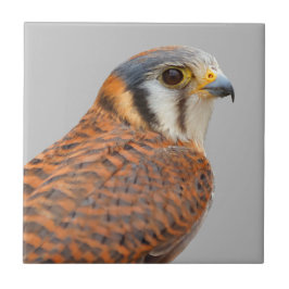 アメリ素晴らしンケストレルスパルロワーク《鳥》ハヤブサ タイル