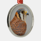 アメリ素晴らしンケストレルスパルロワーク《鳥》ハヤブサ メタルオーナメント (右)