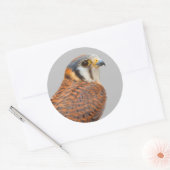 アメリ素晴らしンケストレルスパルロワーク《鳥》ハヤブサ ラウンドシール (封筒)