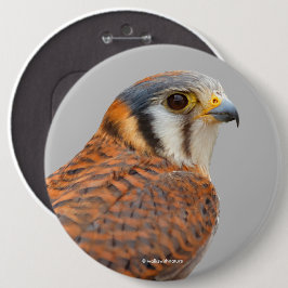 アメリ素晴らしンケストレルスパルロワーク《鳥》ハヤブサ 缶バッジ