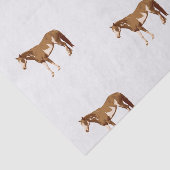 アメリ絵を描カウスウマの水彩色 薄葉紙 (詳細)