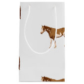 アメリ絵を描カン·ホース·エクエストリアン·ウォーターカラー スモールペーパーバッグ (正面)