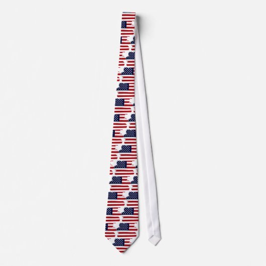 アメリ誇りを持ったカ_人 ネクタイ (正面)