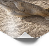 アメーカー フォトプリント            (角)