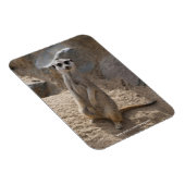 アメーカー マグネット (右側)