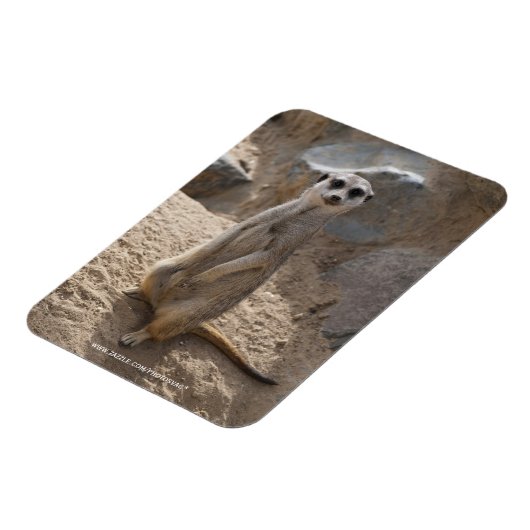 アメーカー マグネット (左側)