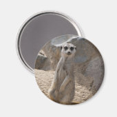 アメーカー マグネット (正面/裏面)