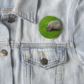 アメージングアニマルカピバラ 缶バッジ (インサイチュ)