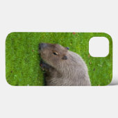 アメージングアニマルカピバラ Case-Mate iPhoneケース (裏面 (横))