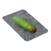 アメージングキャタピラ – アンテアポリフェムス マグネット (右側)