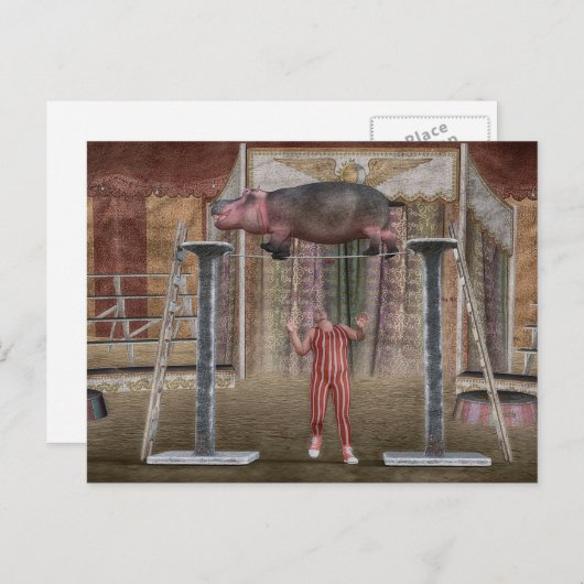 アメージングヒポタモス シーズンポストカード (正面/裏面)