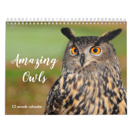 アメージングフール2025 カレンダー