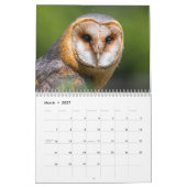 アメージングフール2025 カレンダー (3月 2027)