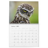 アメージングフール2025 カレンダー (1月 2027)