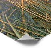 アメージングブラックシーサンセット ポスター (角)