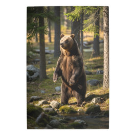 アメージングベア写真 メタルプリント