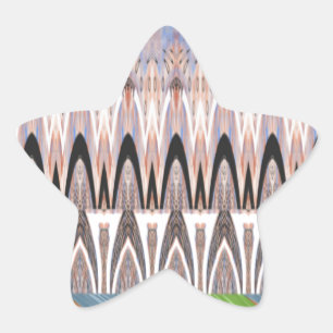 アメージング抽象芸術パターンアートプリント 星シール