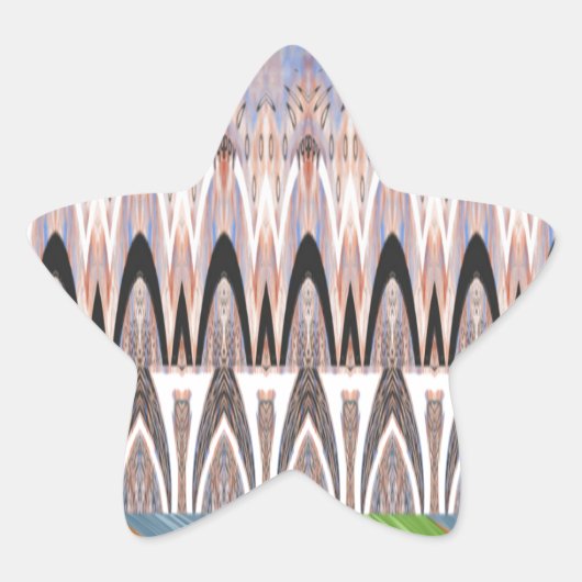 アメージング抽象芸術パターンアートプリント 星シール (正面)