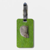 アメージング・アニマルキャピバラ ラゲッジタグ (裏面縦)