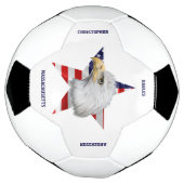 アメージング・ハゲ・イーグル、アメリカ国旗、スター サッカーボール (回転)