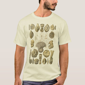 アメーバ Tシャツ