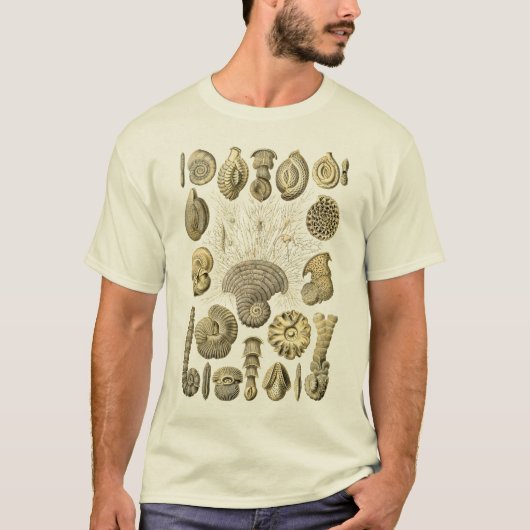 アメーバ Tシャツ (正面)