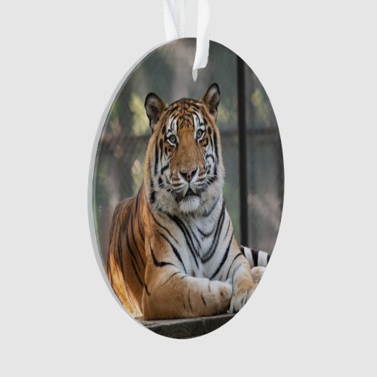 アモル- オーナメント (正面)