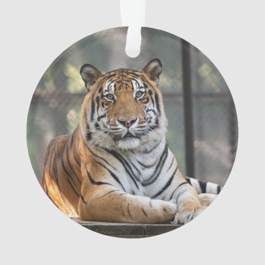 アモル- オーナメント (裏面)