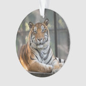 アモル- オーナメント (正面)