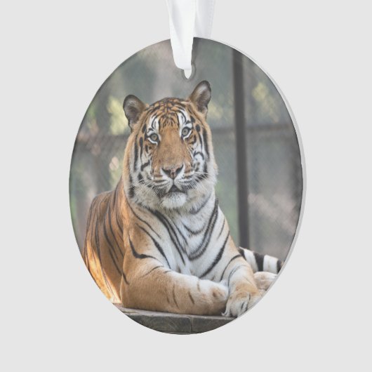 アモル- オーナメント (正面)