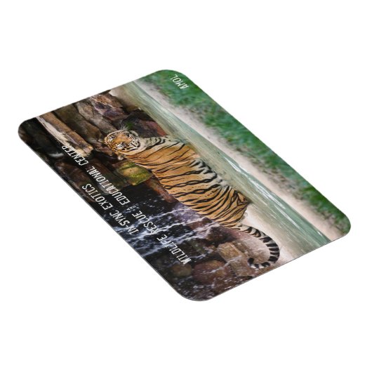 アモル- マグネット (右側)