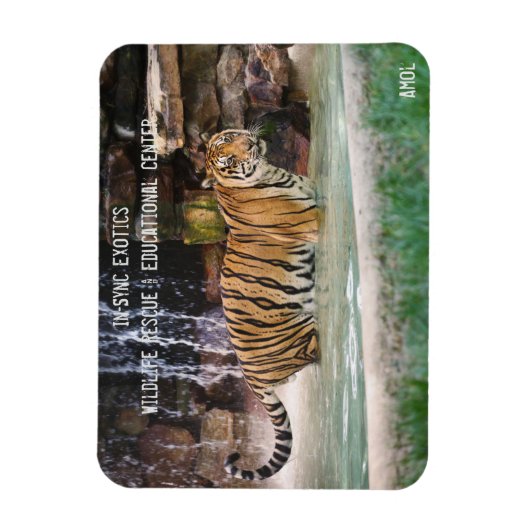 アモル- マグネット (縦)