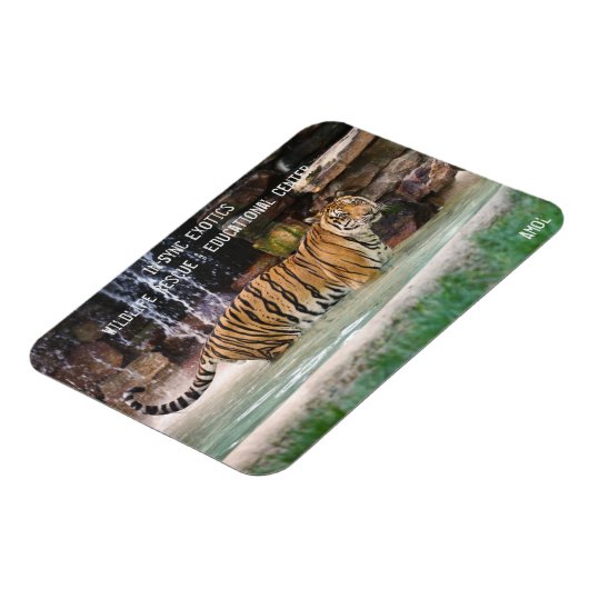 アモル- マグネット (左側)