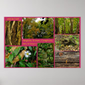 アモールファティ ポスター (正面)