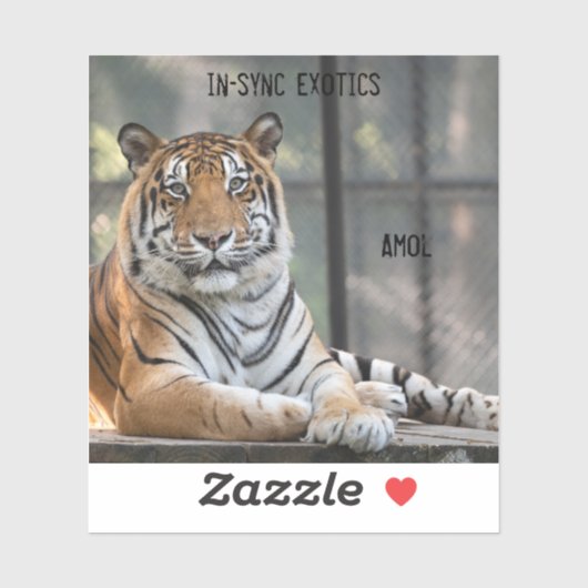 アモール –  シール (シート)