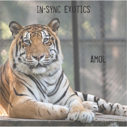 アモール –  シール (正面)