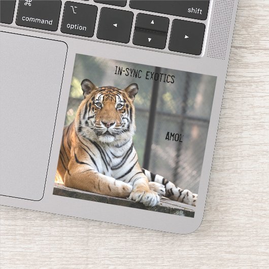 アモール –  シール (詳細)