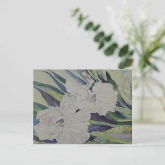 アヤメのポストカード ポストカード (スタンド正面)