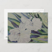 アヤメのポストカード ポストカード (正面/裏面)