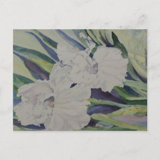 アヤメのポストカード ポストカード