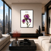 アヤメの植物画アートプリント