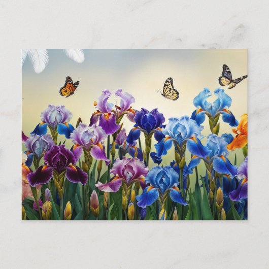アヤメの花と蝶が咲く夏の庭 ポストカード (正面)