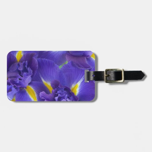 アヤメの花 ラゲッジタグ (正面横)