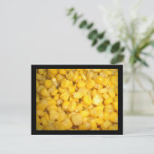 アユコーン ポストカード (スタンド正面)