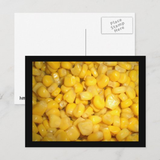 アユコーン ポストカード (正面/裏面)