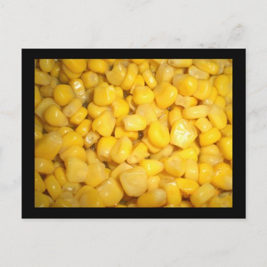 アユコーン ポストカード (正面)