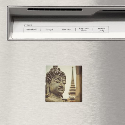 アユタヤ・タイ仏像 マグネット (インサイチュ (食洗機))