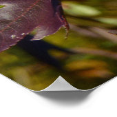 アユ葉イ秋 ポスター (角)