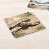 アラアルダブラ スクエアペーパーコースター (アングル)